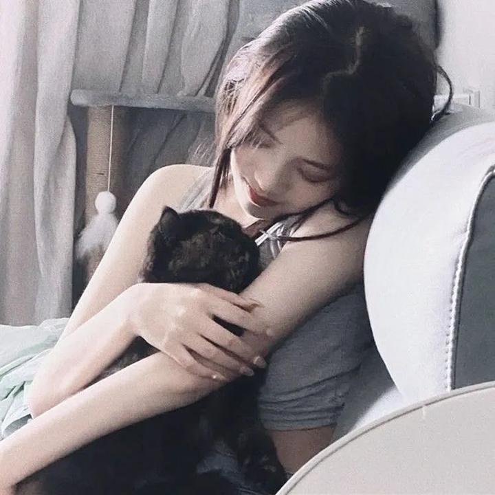 伊拉克碎片