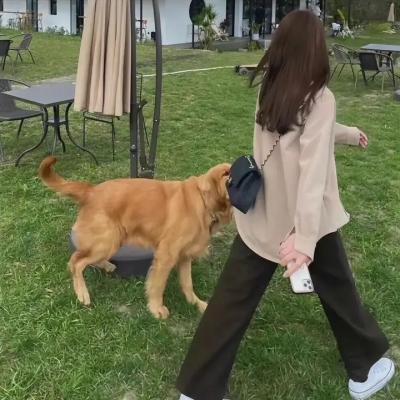 吸血蝙蝠